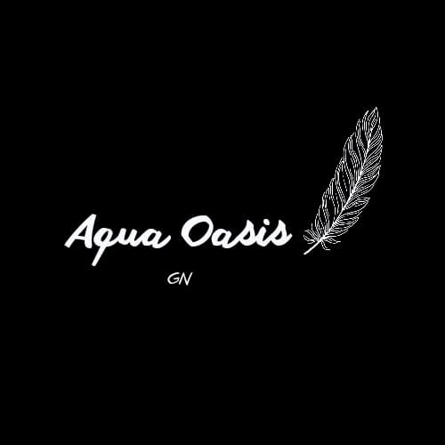 Aqua Oasis ile Tarzınızı Yenileyin En İyi Tişört Seçim Rehberi